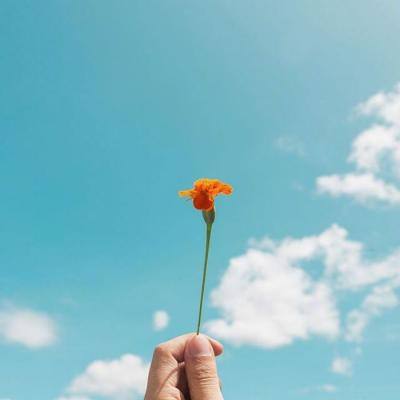 澳门正版资料大全app下载截图