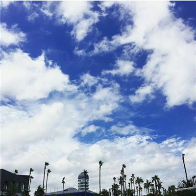 华体会登录手机版手机app下载