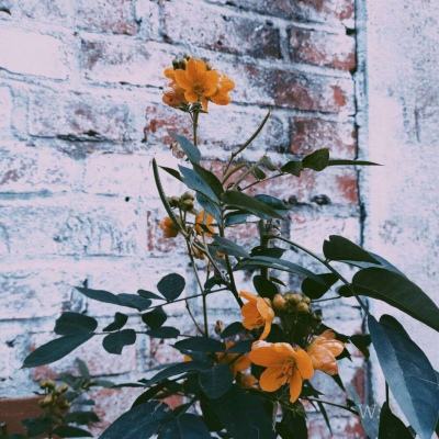 安博体育的最新版本app下载